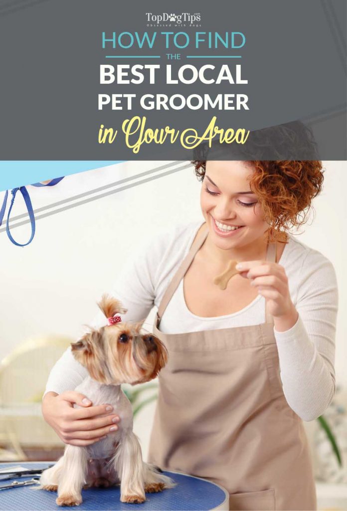 How to Find Local Dog Groomers in Your Area - Top Dog Tips
